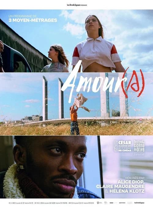 Affiche de Amour(s)