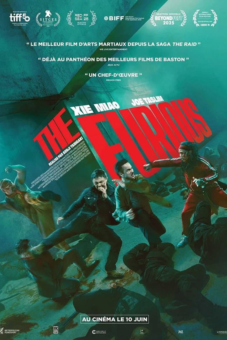 Affiche de The Furious